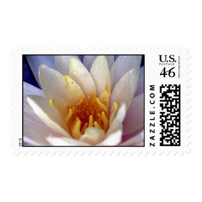 Flowers Stamps by tillasmax
