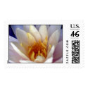 Flowers postage