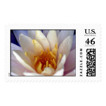 Flowers Stamps