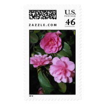 Flowers Postage Stamp
