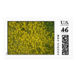 Flowers Postage Stamp stamps