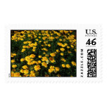 Flowers Postage Stamp stamps