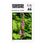 Flowers Postage Stamp stamps