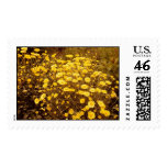 Flowers Postage Stamp stamps