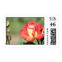 Flowers Postage Stamps