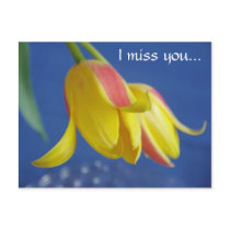 Flowers - postcard