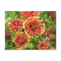 Flowers postcards by eblack2000 Flowers postcards