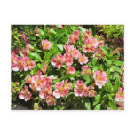 flowers post cards