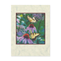 flowers postcards by rockyj flowers postcards