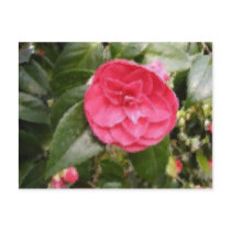 Flowers postcards by Proud_Army_Wife1977 Flowers postcards