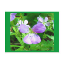 Flowers Postcard