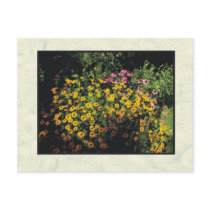 flowers postcards by rockyj flowers postcards
