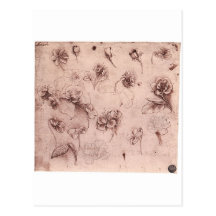 Flowers Postcard
