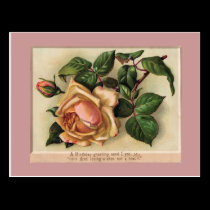 flowers postcards