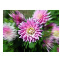 Flowers posters by JavaMama730 Flowers posters