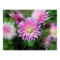Flowers posters