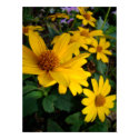 Flowers posters by blee21 Flowers posters
