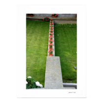 FLOWERS Poster posters
