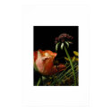 Flowers posters by lois54 Flowers posters