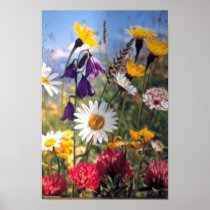 Flowers Posters