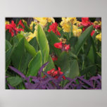 FLOWERS POSTERS