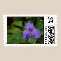 Flowers - Purple Flower stamps