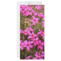 FLOWERS rack cards by Tamossa FLOWERS rack cards