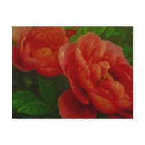 flowers red postcard