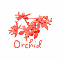 Flowers Salmon Tinted Text Ground Orchid Photo Sculpture