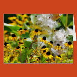 flowers, seeding, plants, flowers, flower, seeds,