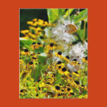 flowers, seeding, plants, flowers, flower, seeds,