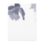 Flower's Serenity Post Cards