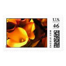 Flowers speak postage by plnice Flowers speak postage