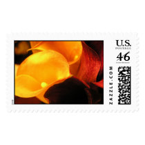 Flowers speak postage