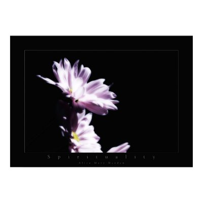 flowers spirituality posters by VisionVault