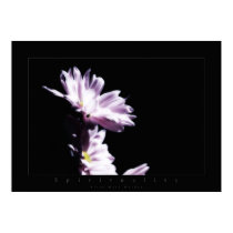 flowers spirituality posters