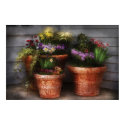 Flowers - Springs Bounty posters