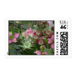 Flowers Stamps