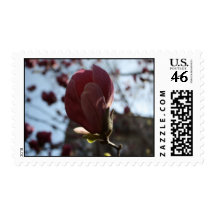 Flowers Stamps
