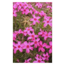 FLOWERS stationery by Tamossa FLOWERS stationery