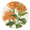 Flowers stickers