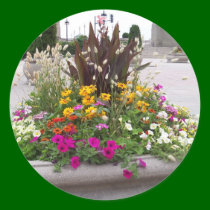 flowers stickers