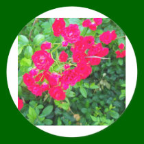 flowers stickers