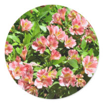 flowers stickers