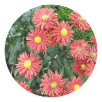 flowers stickers