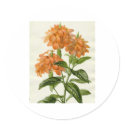 Flowers stickers by FreshFlowers Flowers stickers