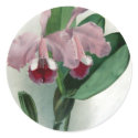 Flowers stickers by FreshFlowers Flowers stickers
