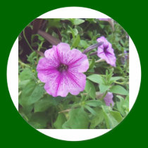 flowers stickers