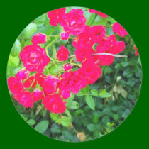 flowers stickers