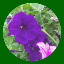 flowers stickers